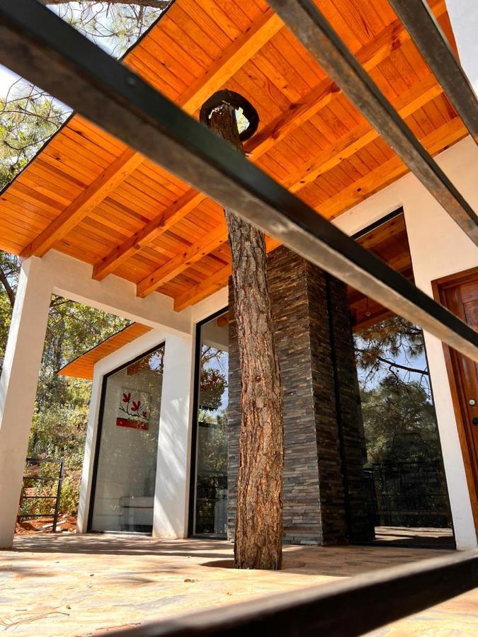 Cabana "Alexa", En El Corazon Del Bosque De Mazamitla Eksteriør bilde